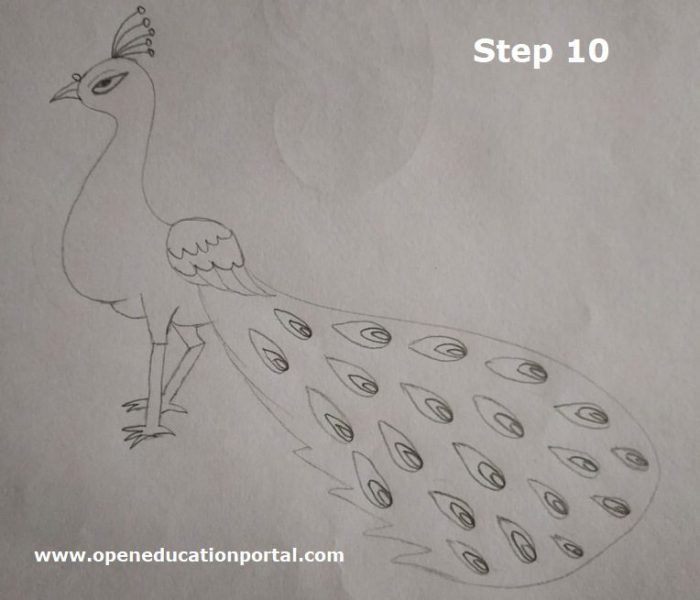 How to make a peacock pencil decoration